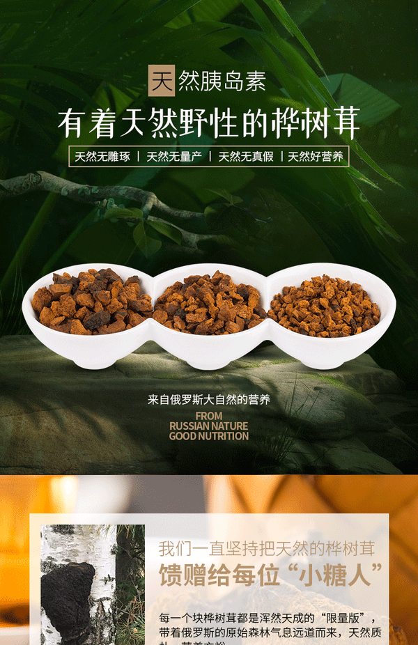 Authentische Chaga Premium Qualität Chaga Granulate 200g/Dose essbare Pilze