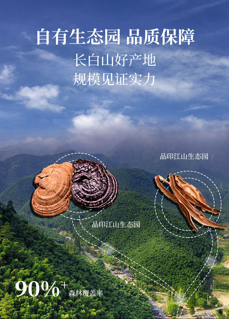 Ganoderma lucidum tablets in tea and soup Changbaishan wildlife infusion tea