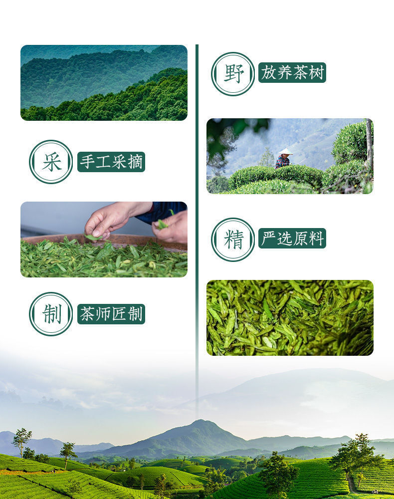 Longjing Tea Pre-rain Spring Tea Bean Scented Tender Buds Strong Fragrance 125g