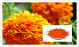Eye Protection Marigold Flower Extract Lutein Marigold Extract Powder 250g