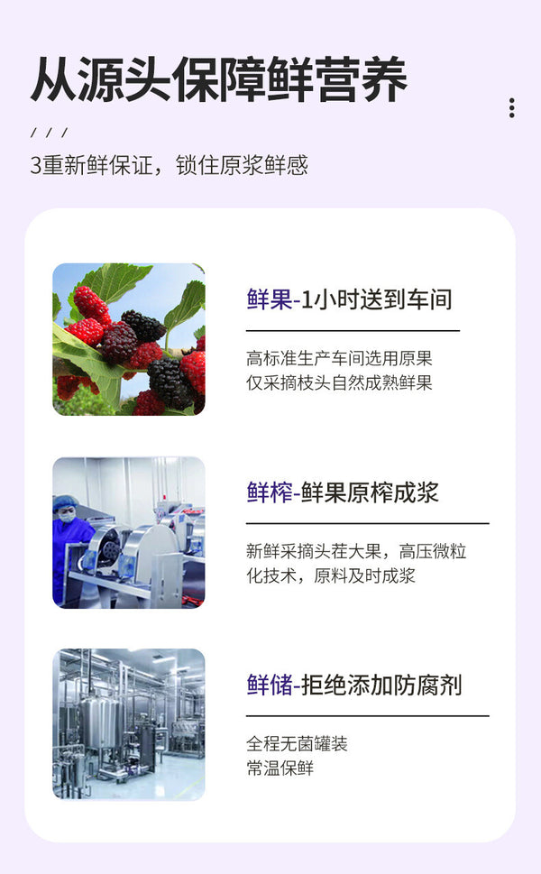 Mulberry Puree Sea Buckthorn Goji Berry Juice Ningxia Black Goji Herbal Drink