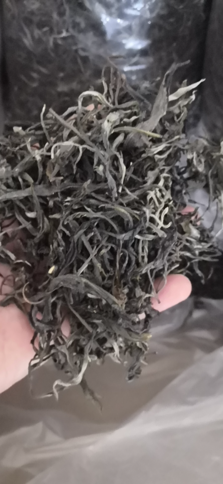 500G Old Tree Puerh Loose Tea Own Ancient Tea Plantation Raw Ancient Tree Puerh