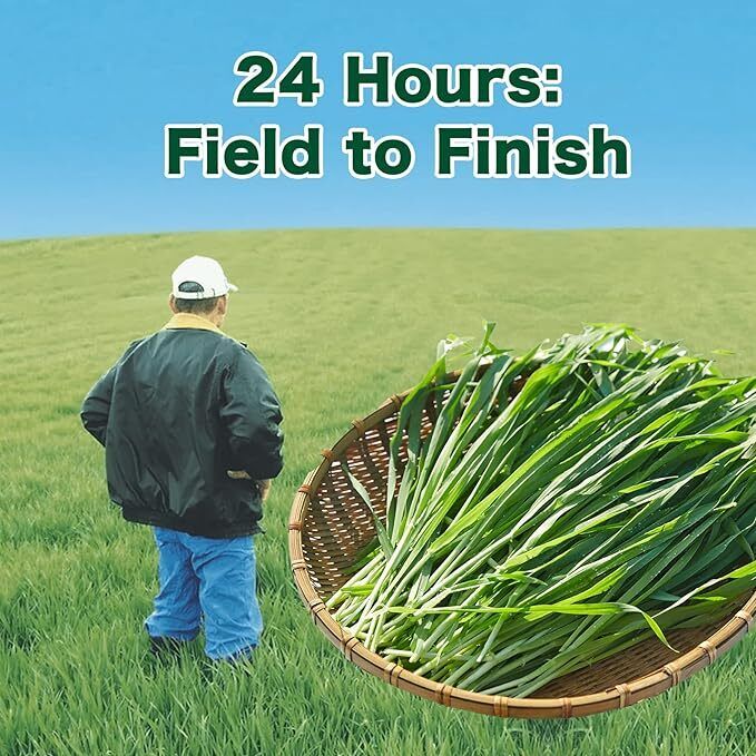 250g Gerstengraspulver 100% rein & biologisch natürliches Gras Gewichtsverlust