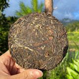 Banzhang King Pu'er tea leaves raw Pu taste dominant good to drink tea 100g