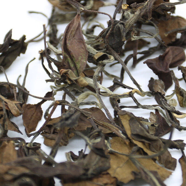 Gaoshan Bulk Date Aroma Shoumei White Tea Healthy Drink 500g Fuding White Tea