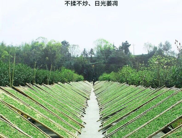 300g Fuding white tea white peony tribute eyebrow shoumei flower fragrance
