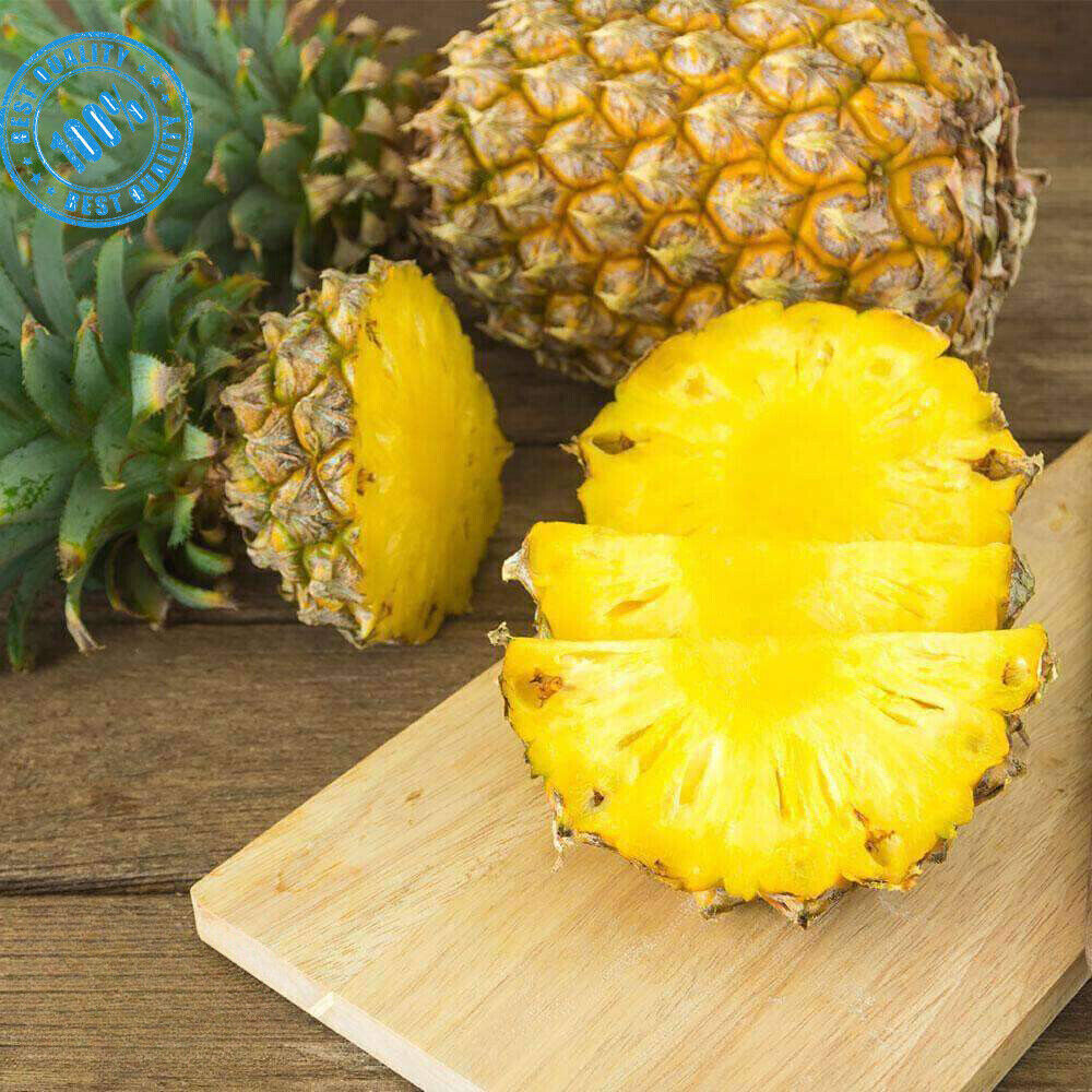 Fruit Powder Organic Lassi Mango Pineapple Banana Papaya Avocado jack fruit