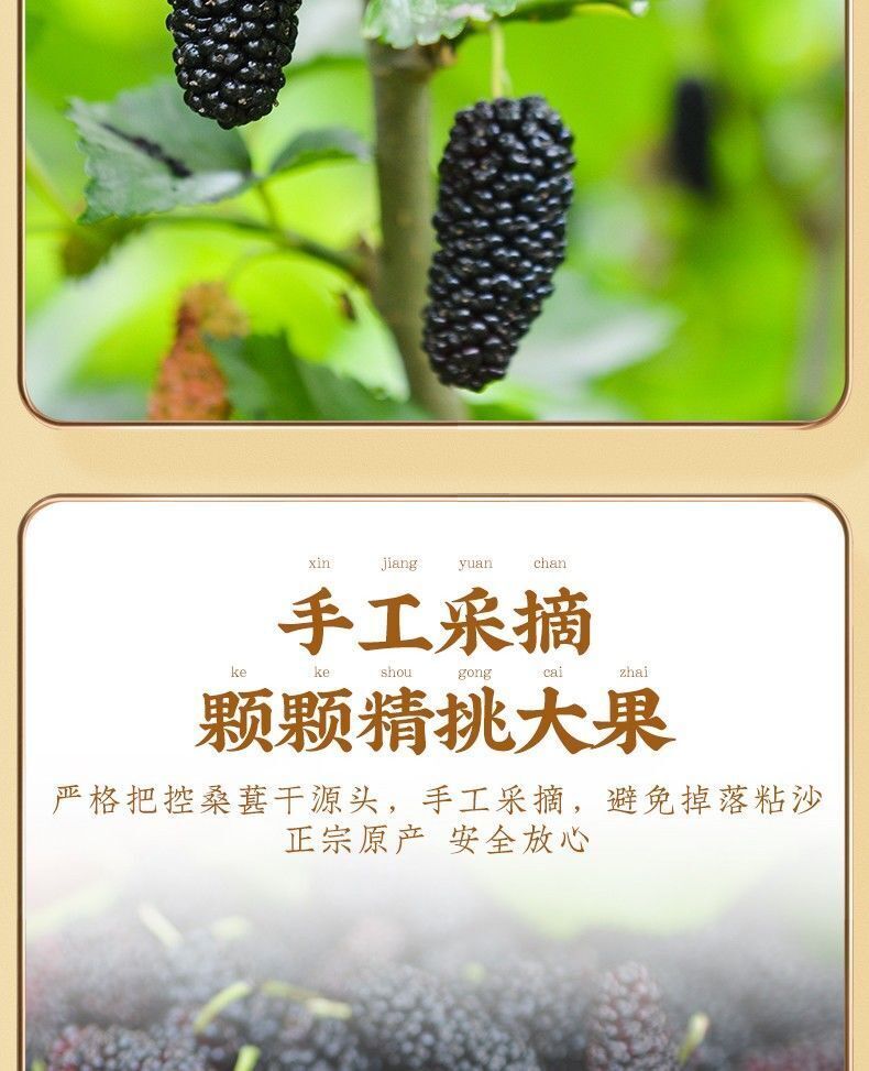 Selected Dried Mulberry Large Fruit Sand-free No-wash Mulberry Health Tea 500g