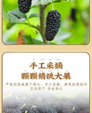 Selected Dried Mulberry Large Fruit Sand-free No-wash Mulberry Health Tea 500g
