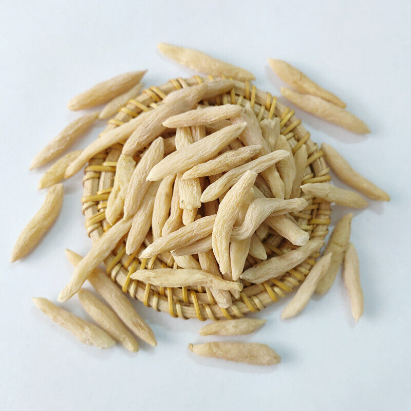 Supply Maidong Sichuan Maidong various sizes of large goods Maidong 17.6oz