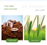 Instant Green Juice Coffee Powder Shaped Drink Roaring Barley Ruoye Green Coffee