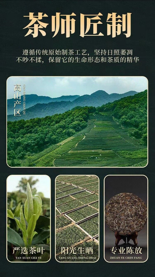 350g Fuding high mountain white tea sun aged white tea gongmei date fragrance
