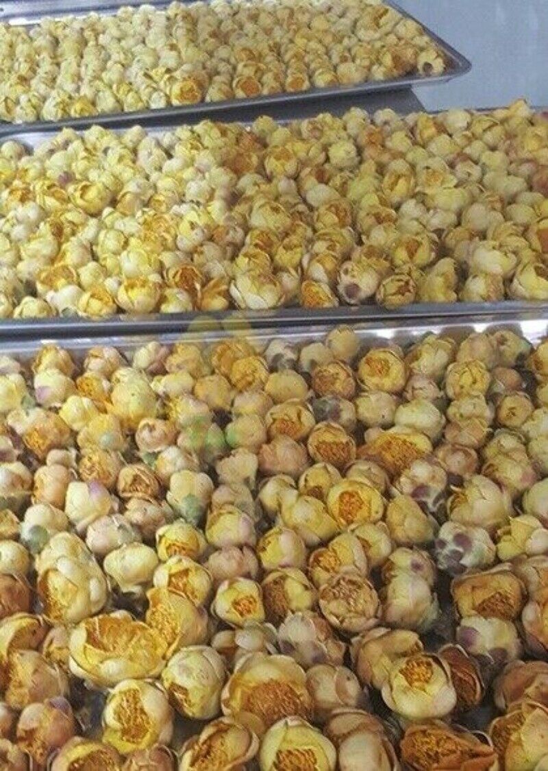 High Quality Dried Golden Camellia Golden Camellia Bloom Tea Flower Tea 500g