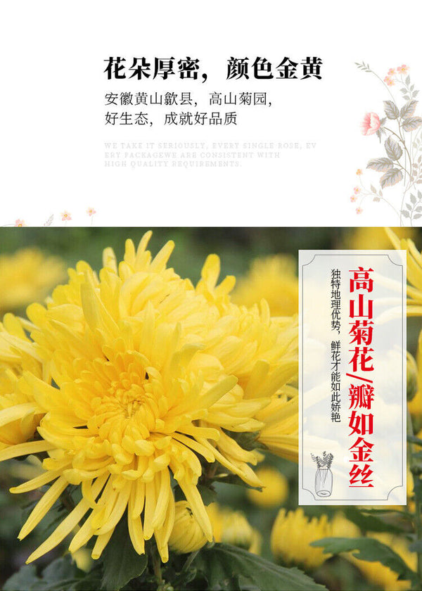 Brand Golden Silk Chrysanthemum Tea Herb Tea Round Pot Good Tea 20G
