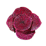 Huo Long Guo 100% Pure Organic Loose Dry Red Dragon Fruit Tea