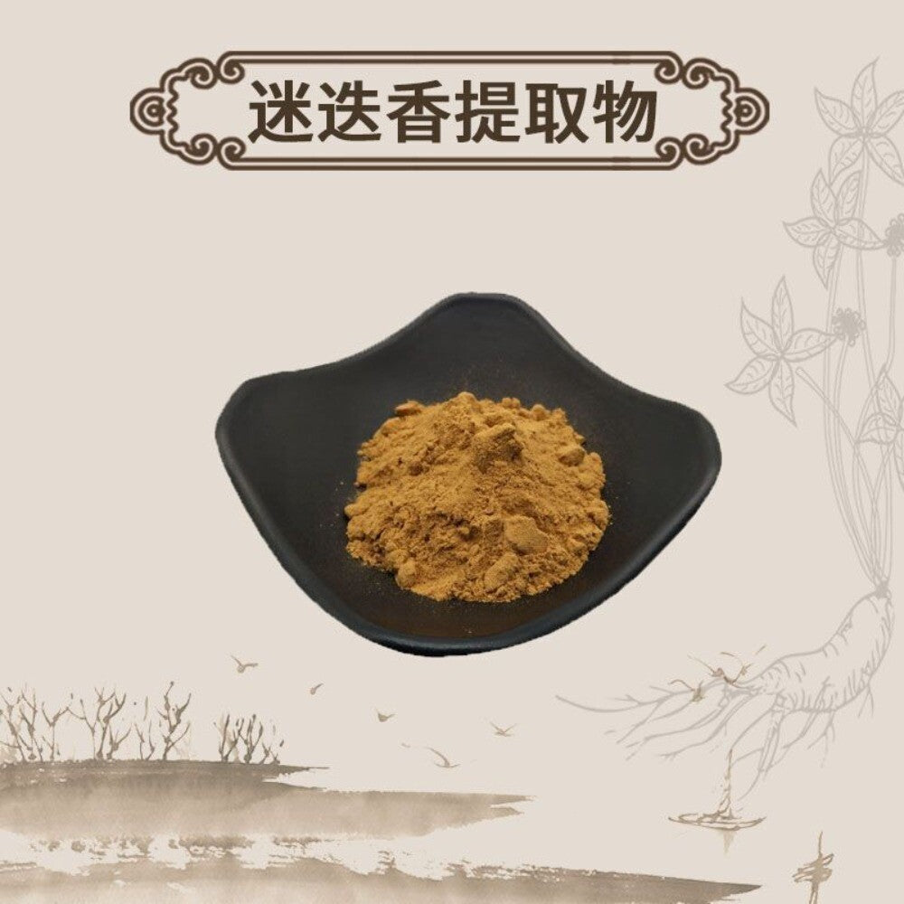 Rosemary Extract Powder 10:1 Water Soluble Herbal Tea Premium Salvia Rosmarinus Main image