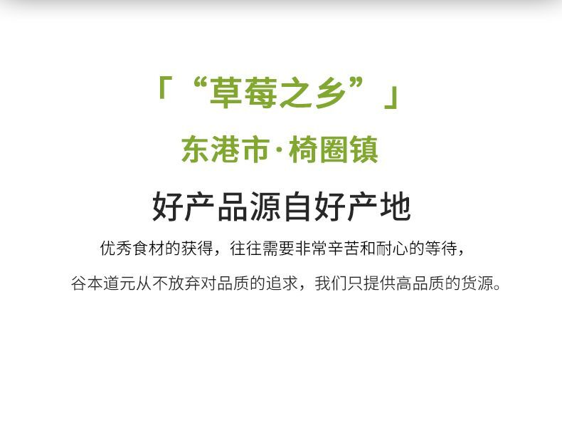 Pure Fruit Powder Strawberry Powder Baking and Brewing Cake  Raw Materials