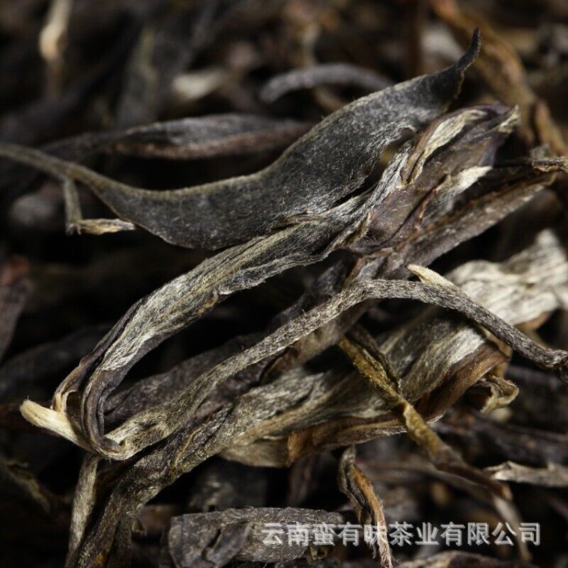 Yunnan Puerh Tea, Qiaomu Tea Spring Tea 500g