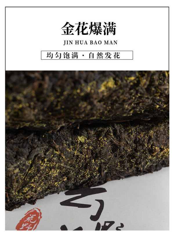 1kg Hunan Anhua Black Tea Aged Tea Hand-built Fu Brick Golden Flower Black Tea