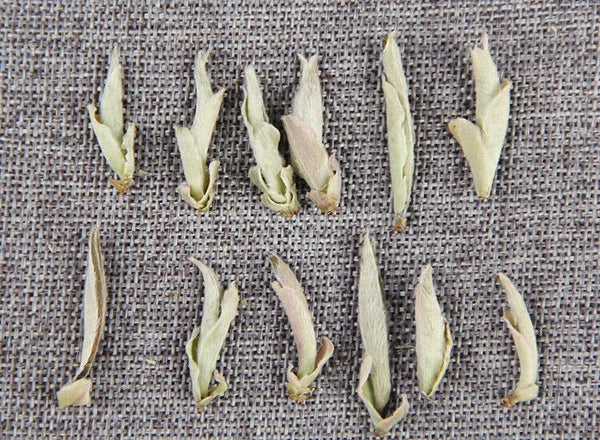 Yunnan Puer Tea 500g Loose Shen Puerh White Buds Bai Ya Bao Yunnan Pu Erh Cha