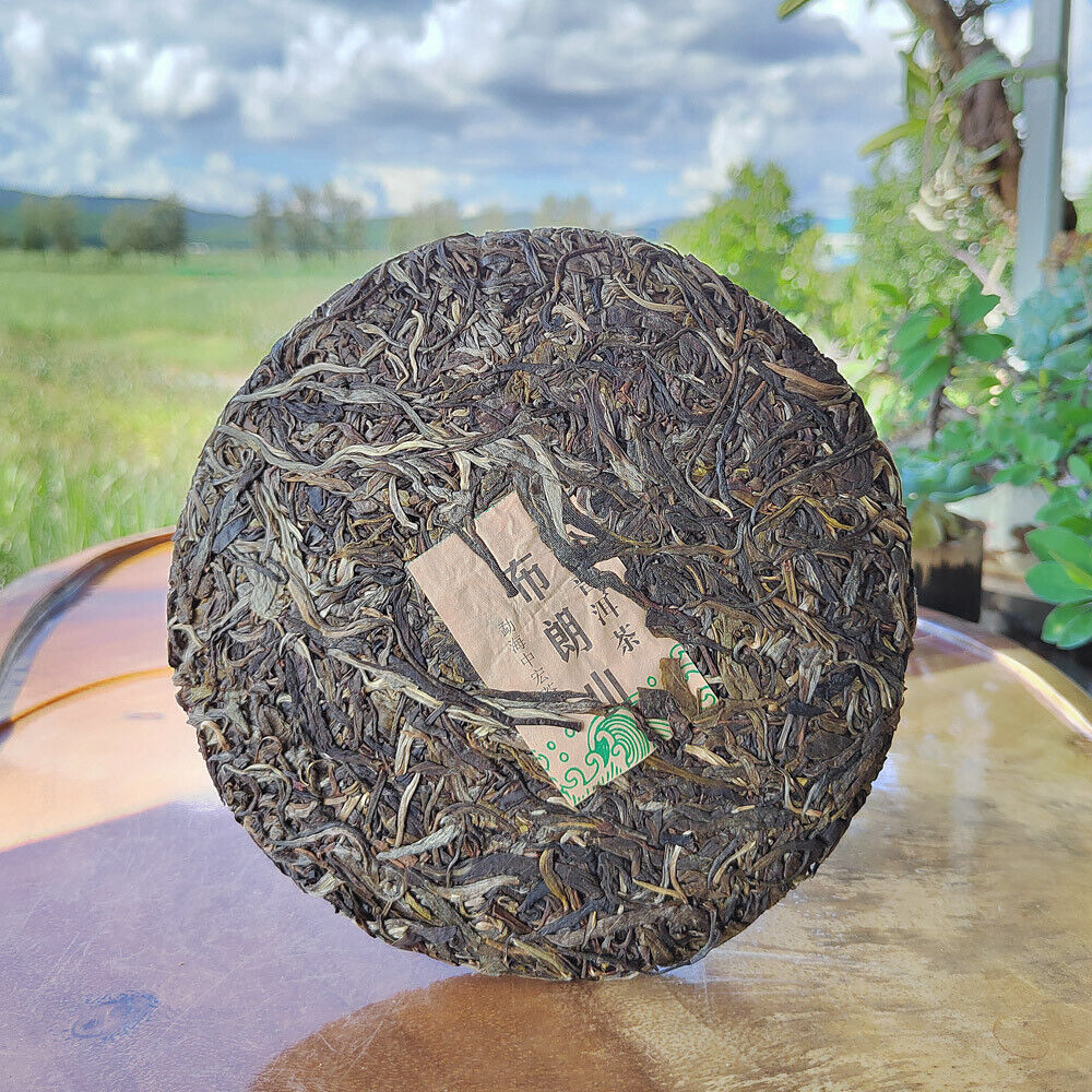Yunnan Menghai Pu'er Tea Brown Mountain Early Spring Arbor Pu'er Raw Tea Cake