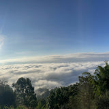 357g Raw Pu'er Haiwan 2017 Batch 171 Old Comrade 7548 Pu-erh Tea Cake Sheng Puer