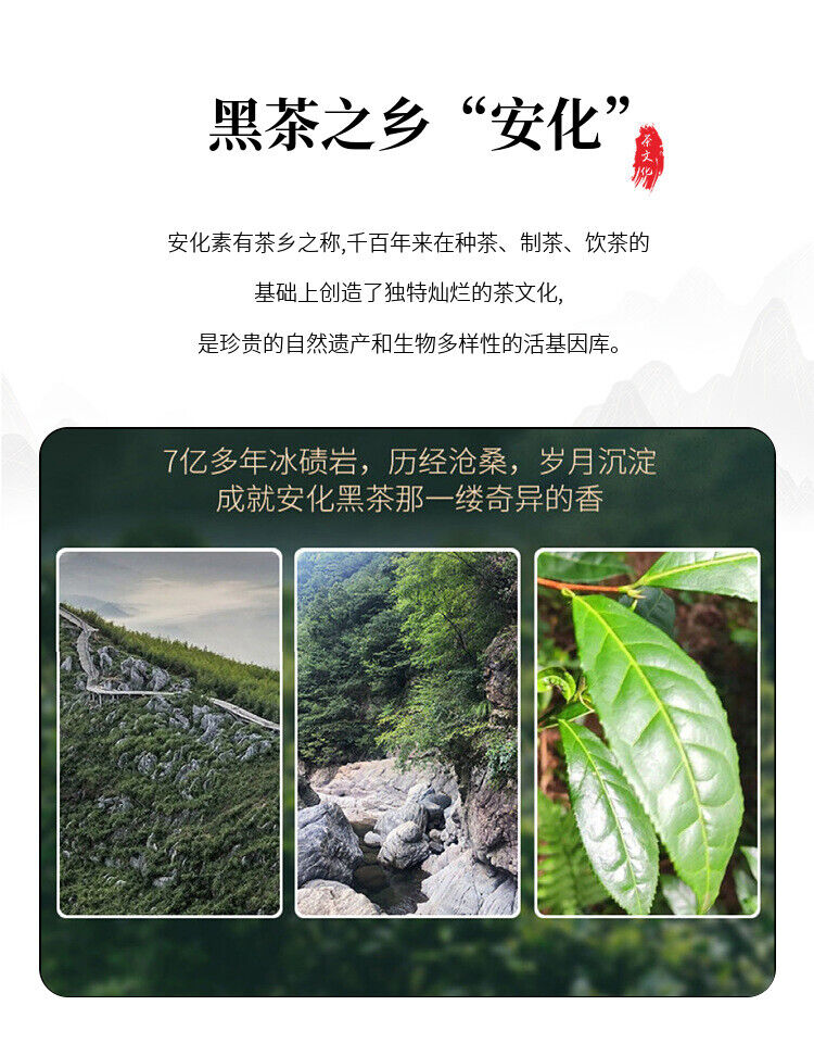 1kg Hunan Anhua Black Tea Aged Tea Hand-built Fu Brick Golden Flower Black Tea