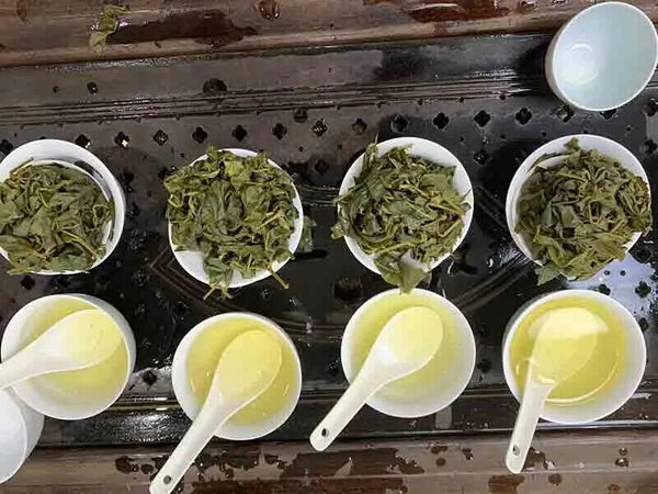 New Tea Taiwan Milk Favor Oolong Tea Jinxuan Natural Milky Oolong Tea 150g