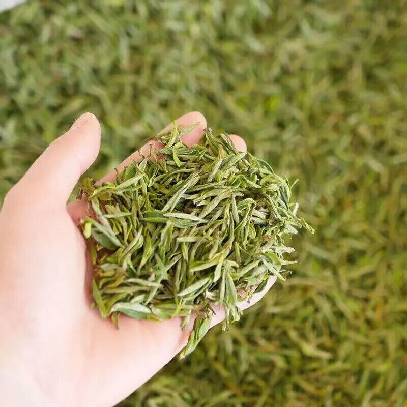 Premium Chinese Anhui Green Tea High Mountain Yellow Gold Tea Maofeng Green Tea