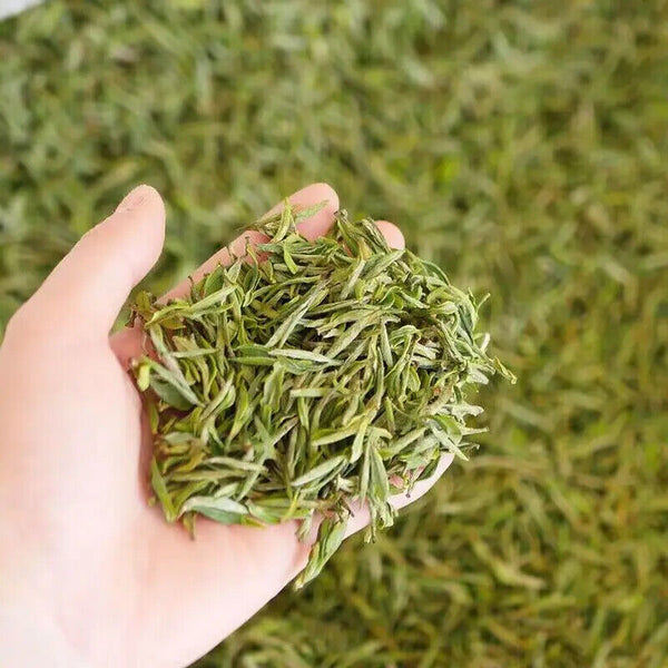 Premium Chinese Anhui Green Tea High Mountain Yellow Gold Tea Maofeng Green Tea