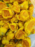 Authentic Goldenseal Tea Dried Wild Goldenseal Tea