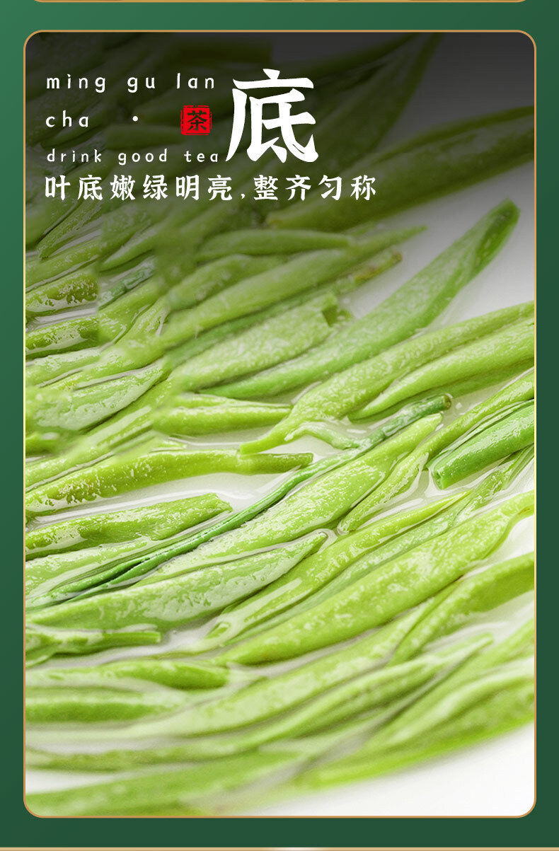 Minggulan Yunwu Maojian Tea  Green Tea Spring Good Tea Stir-fried Young Buds 76g