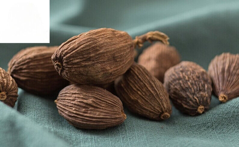 Cao Guo / 草果 / Tsaoko Amomum Fruit /Tsaoko Fructus /Amomum tsao-ko 1.1lb Secondary image