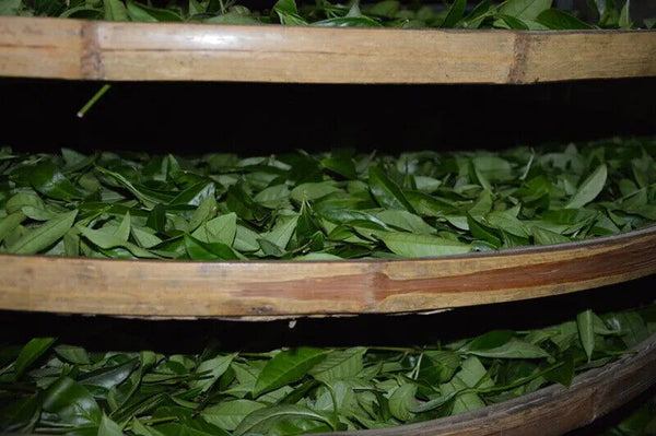 New China Authentic Green Tea Tieguanyin Oolong Tea Natural Organic Health 250g