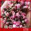 Wholesale peach blossom / dried peach blossom origin direct sales 500g/12.59oz