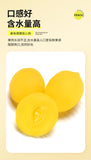 Nostalgic Snack Dried Yellow Peach Childhood Treats Sweet and Sour Crunchy Peach
