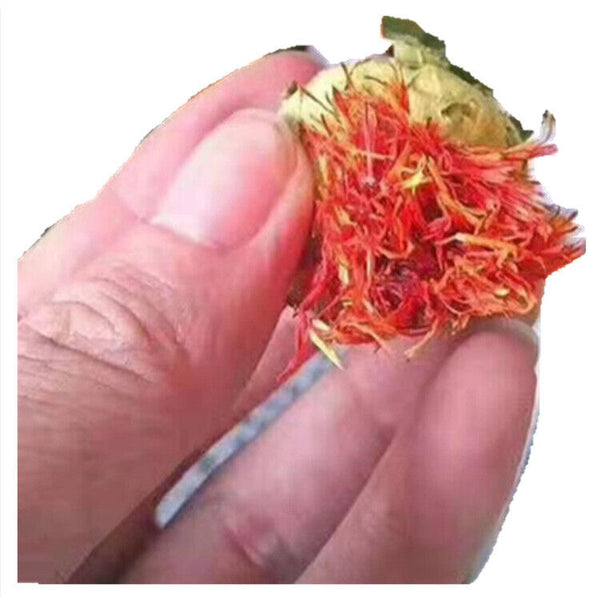 Saffron Fruit Saffron Tibetan Saffron Fruit Western Saffron 500/1.1lb