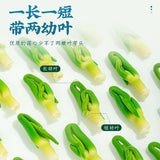 Lotus Seed Heart Selected Lotus Plumule Gesundheitstee Kräutertee 100g