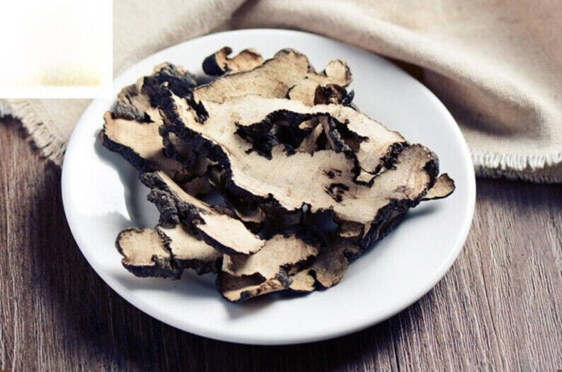 Zhu Ling/猪苓/Trametes Gibbosa/Polyporus umbellatus Main image