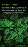 Kale powder fruit vegetable powder dietary fiber vitamin C quality nutrition 60g