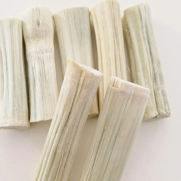 SugarCane Segments Bulk Dried Sugar Cane Peeled Dehydrated Sweet Sugar Cane 500g