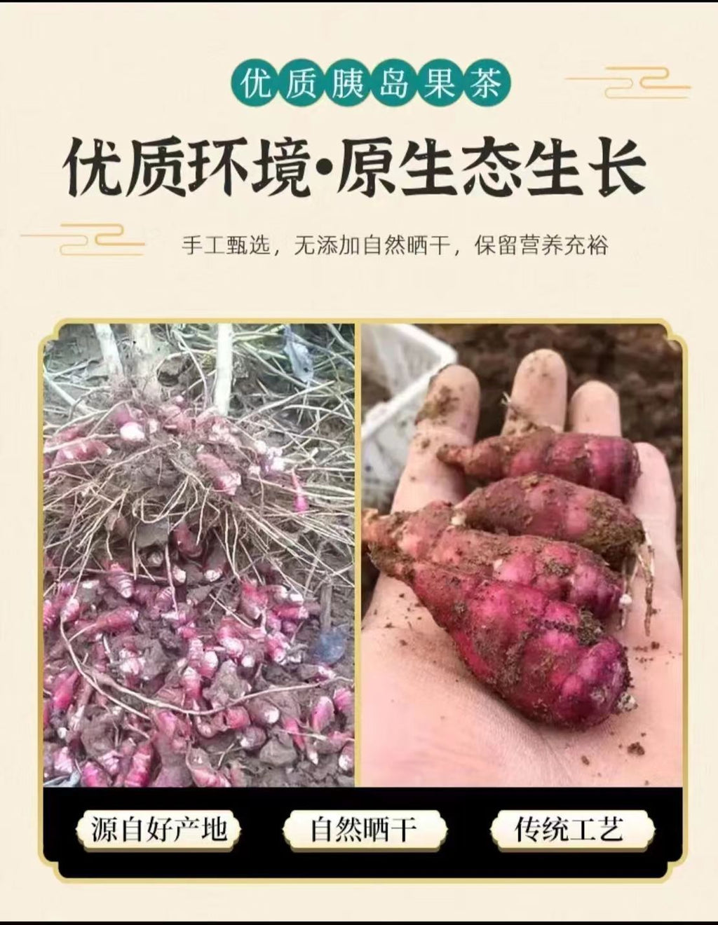Pancreatic fruit tea herbal primary pancreas fruit ghost ginger chrysanthemum