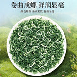 2025 Premium Bi Luo Chun Green Tea Ming Qian First Pick High Mountain