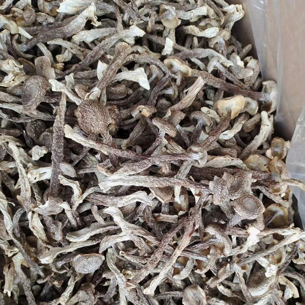 Premuim Deep Mountain Edible Fungi Dried Velvet Mushroom Antler Mushroom 250g