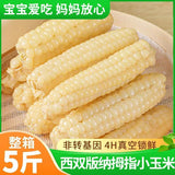 Yunnan Xishuangbanna Dried Corn Snacks – Sweet & Glutinous, Vacuum Packed Fresh