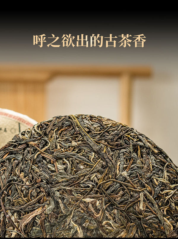 357g Understood Pu'er Raw Tea Yunnan First Spring Ancient Tree Pu'er Cake Tea