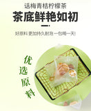 Summer Iced Fruit Tea Blend (Freeze-Dried) Preserved Plum & Citrus Tea