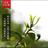 Wuyi Da Hong Pao Oolong Tea Rich Aroma Floral Fujian New Loose Leaf