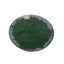 500g Natural Superfood Supplement Organic Ocean Blue Spirulina Extract Powder
