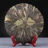 400g Health Green Tea Pu-erh Tea Da Xueshan Zhi Zi Tea